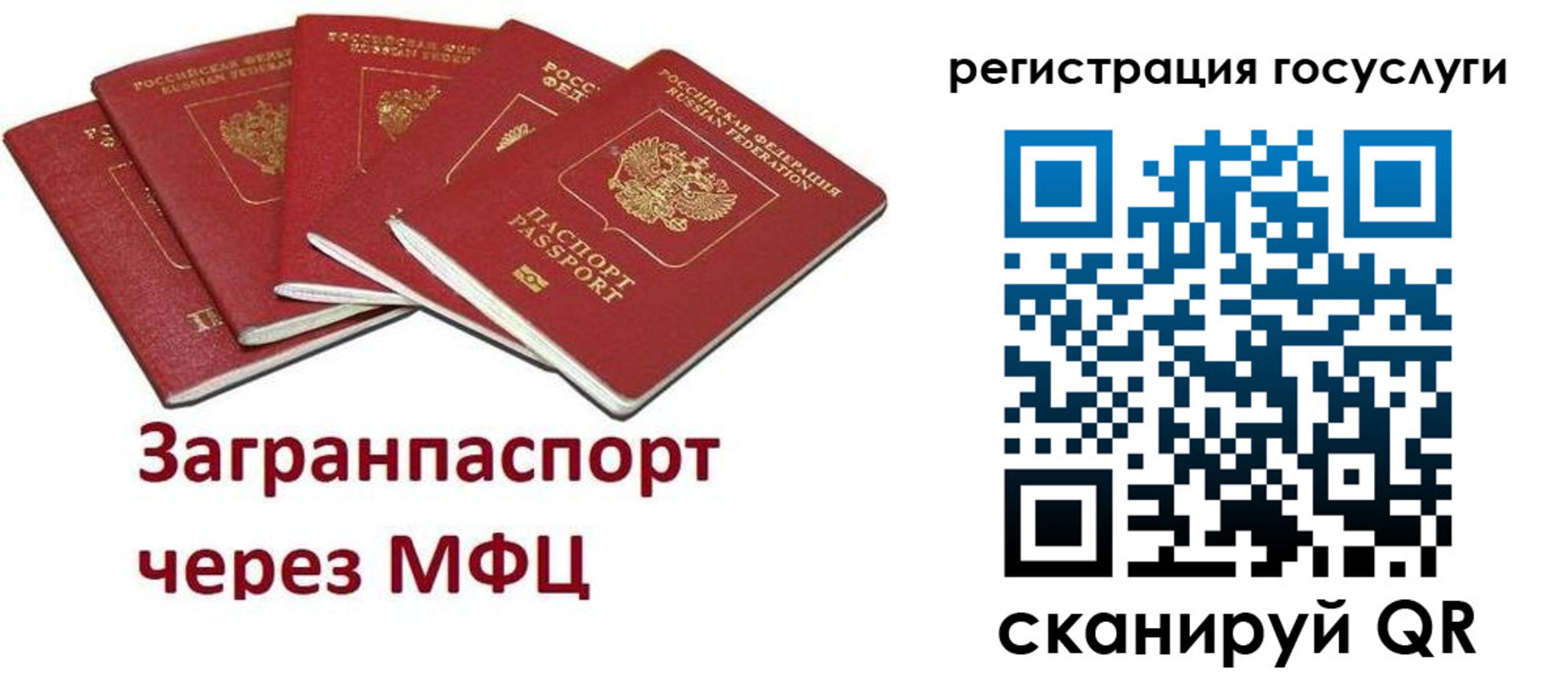 прописка 2025 в Мытищах